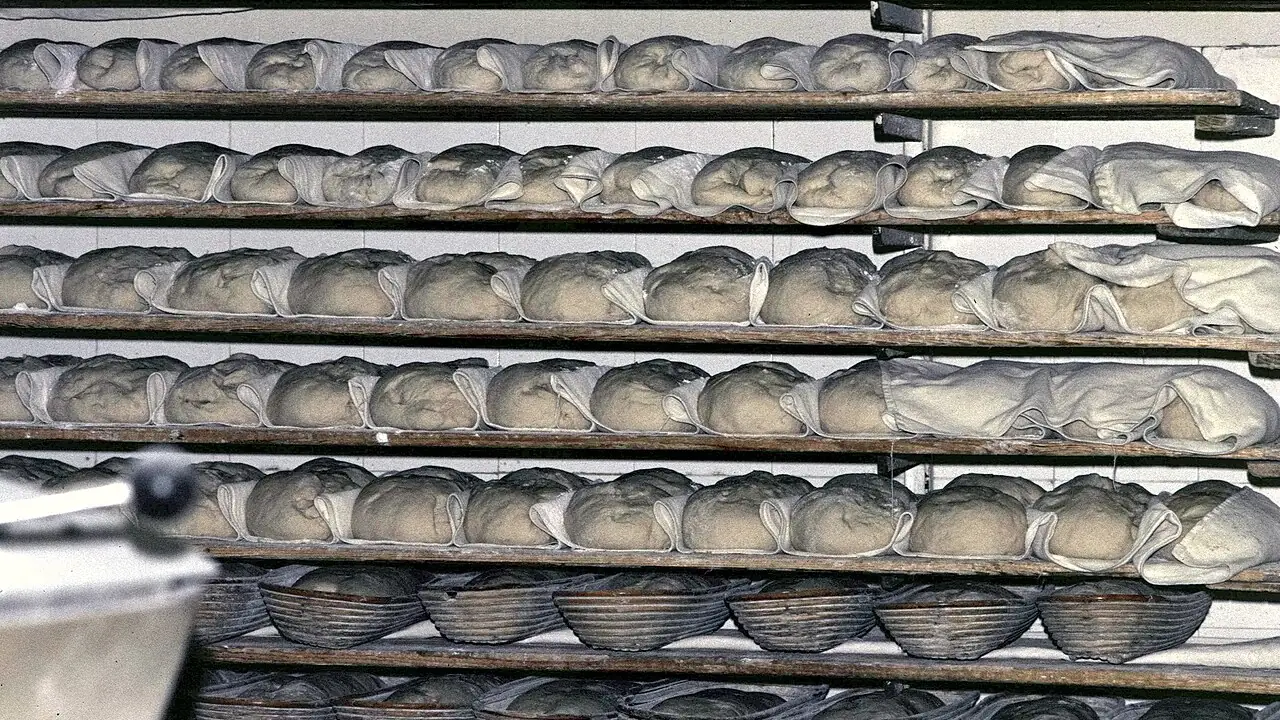 Brotlaibe frisch aus dem Ofen